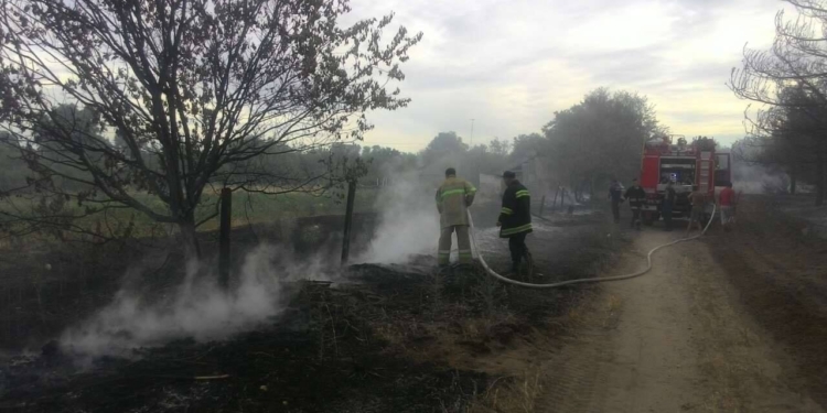 Вчера горел Андреевский лес возле Ковалевки