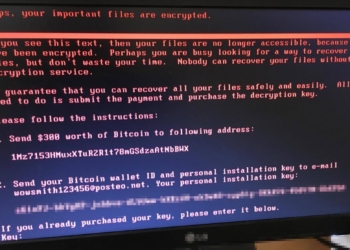 Имя страшного вируса – Petya. Как избежать заражения