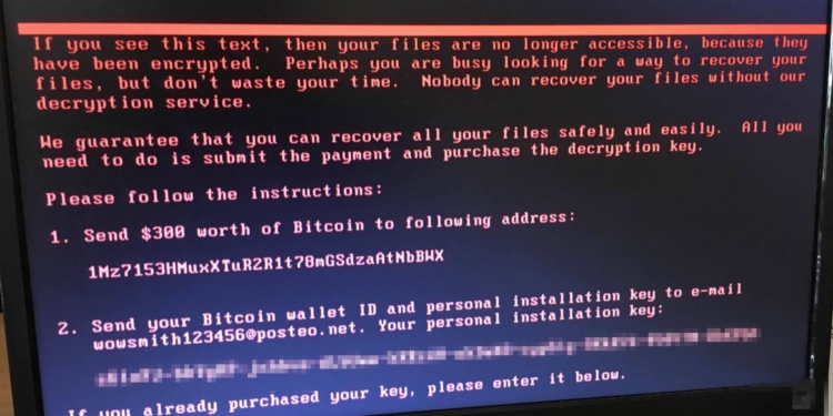Имя страшного вируса – Petya. Как избежать заражения