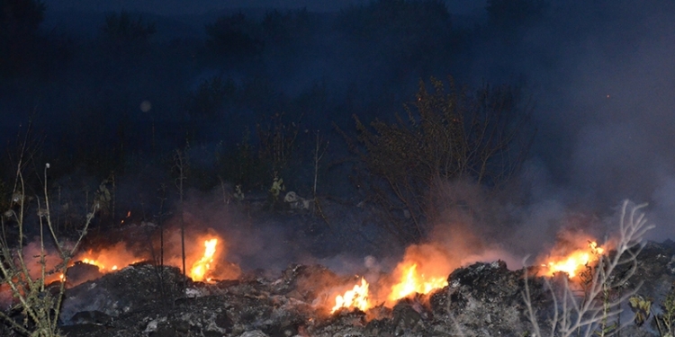 В Николаеве горящую свалку тушили почти 2 часа – площадь пожара составила 600 кв. м