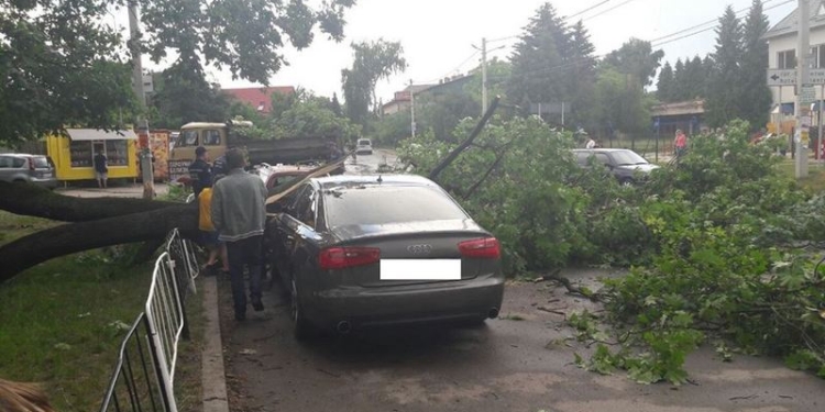 Идет к нам? Непогода во Львове повалила 10 деревьев, повредила крыши и авто