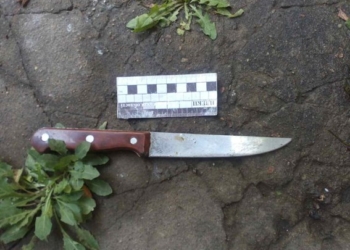Ударил по лицу, закрыл в доме, а сам ушел: на Николаевщине женщина зарезала гражданского супруга