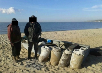 Неподалеку от Мариуполя браконьеры выловили бычка на четверть миллиона гривень