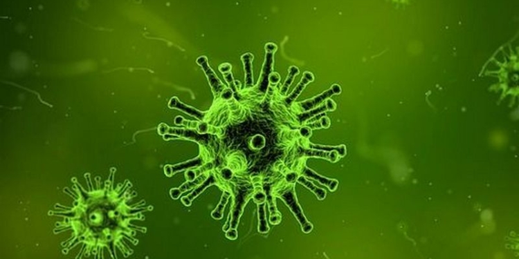 Ученые предложили уничтожать супербактерии вирусами – испытания нового лекарства на людях могут начаться уже в 2018 году