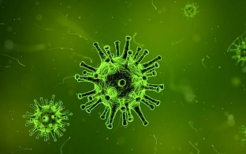 Ученые предложили уничтожать супербактерии вирусами – испытания нового лекарства на людях могут начаться уже в 2018 году 1