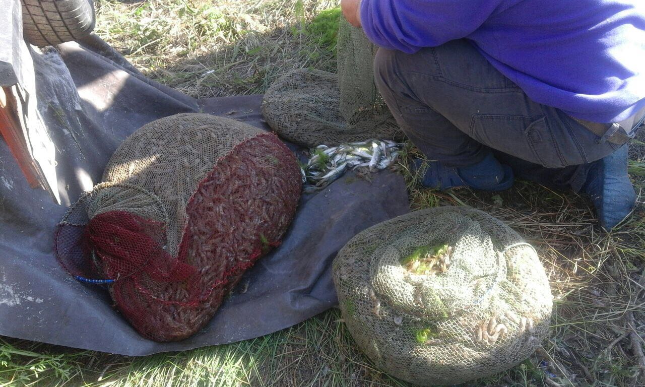 Пограничники задержали браконьеров у Покровки – с креветками и ставридой
