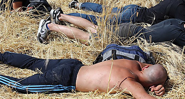 Селяне на Кировоградщине скрутили 31 заезжего рейдера