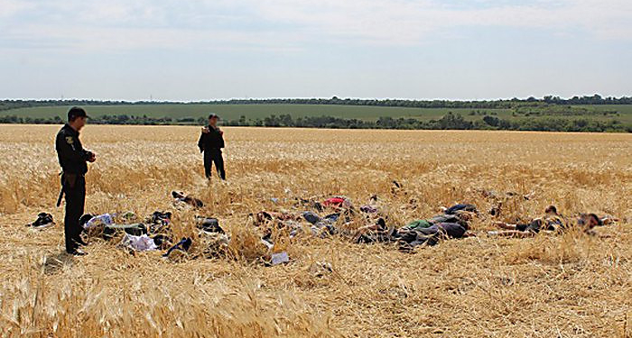 Селяне на Кировоградщине скрутили 31 заезжего рейдера