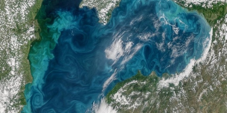 Черное море изменило свой цвет, – NASA