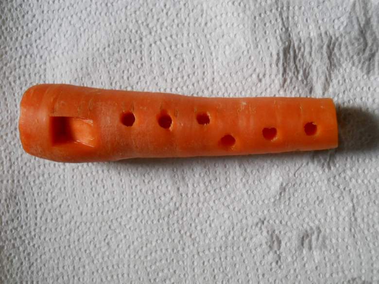 Флейта из морковки. Морально ли так использовать еду? Мнения разделились 1