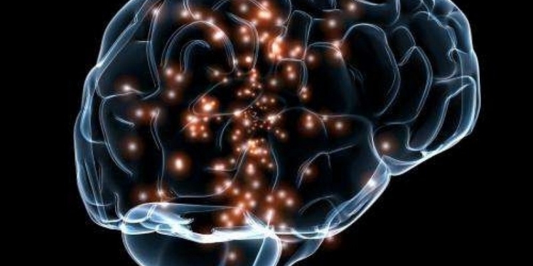 Ученые обнаружили в мозге нейроны реальности и вымысла