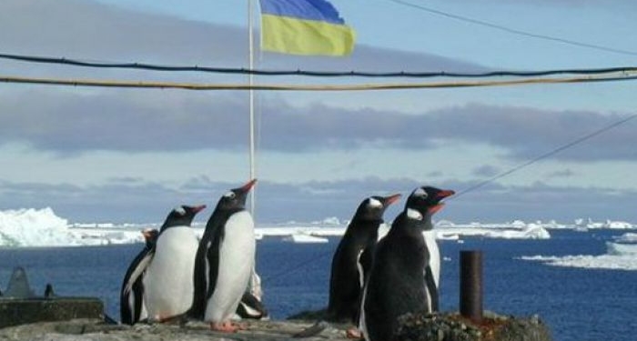 Украина будет проводить совместные исследования Антарктики с Китаем, Малайзией и Турцией