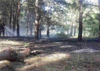 На Николаевщине спасатели потушили пожары в лесных урочищах