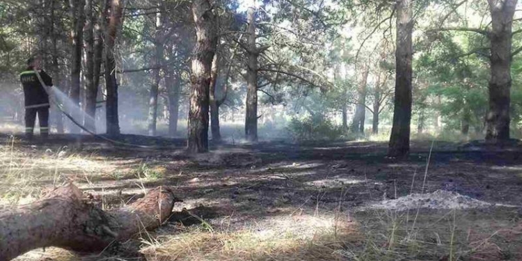 На Николаевщине спасатели потушили пожары в лесных урочищах