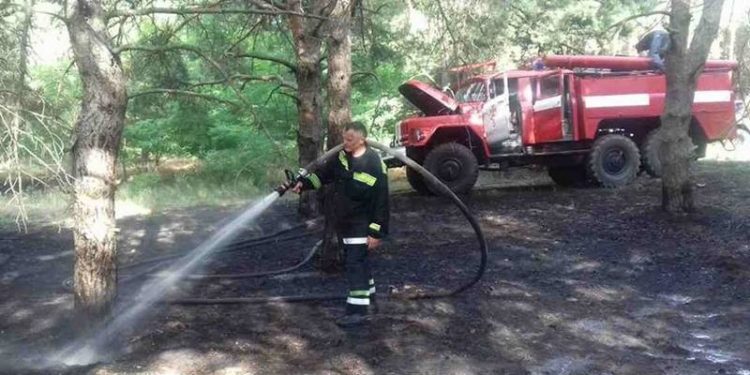 На Николаевщине спасатели потушили пожары в лесных урочищах