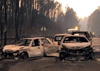 Португальские пожары: 12 человек спаслись в цистерне с водой