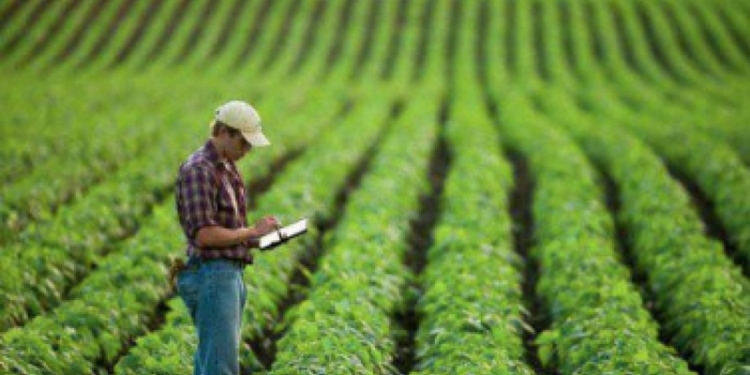 В Украине разрабатывается интерактивная карта фитосанитарного состояния полей – она будет «покрывать» и Николаевскую область