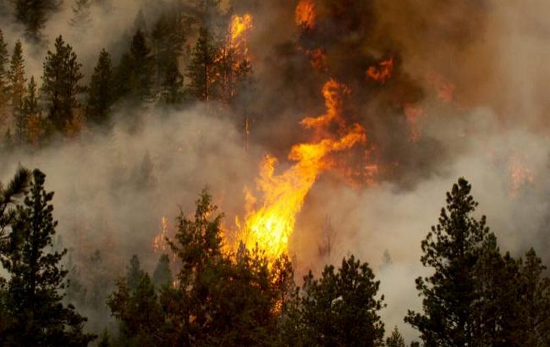 В Испании из-за угрозы лесных пожаров эвакуировали более тысячи человек 1