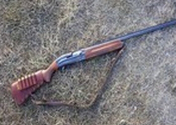 В Киевской области директор фермерского хозяйства ранил из ружья двух рабочих