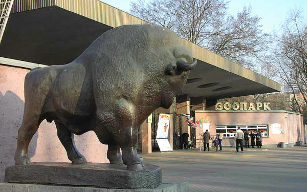 Киевская мэрия дала 200 миллионов на первую часть реконструкции зоопарка