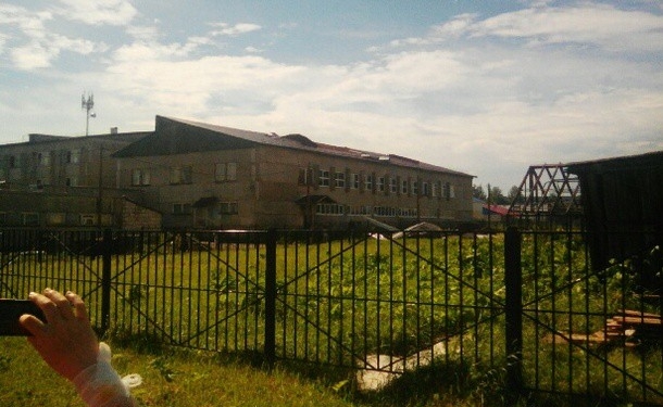 Ох, скрепы… Вместо отдыха на море в России детей-сирот отправили убирать ядовитое растение – борщевник