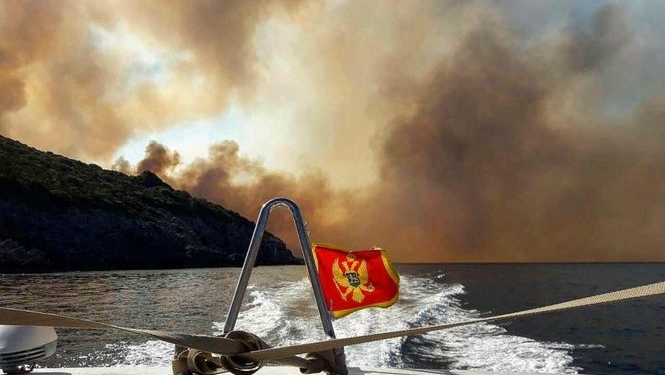 В Черногории из-за масштабных лесных пожаров начали эвакуировать туристов