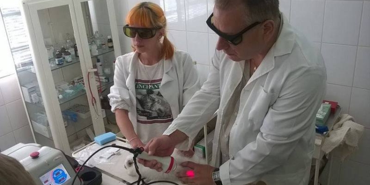 Чтобы звери быстрее выздоравливали: Николаевскому зоопарку передали нужное медицинское оборудование