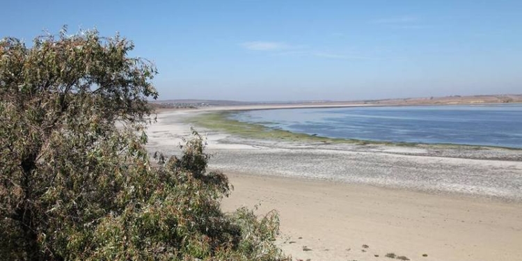 Тревожный симптом: соленость воды в Тилигульском лимане еще больше выросла