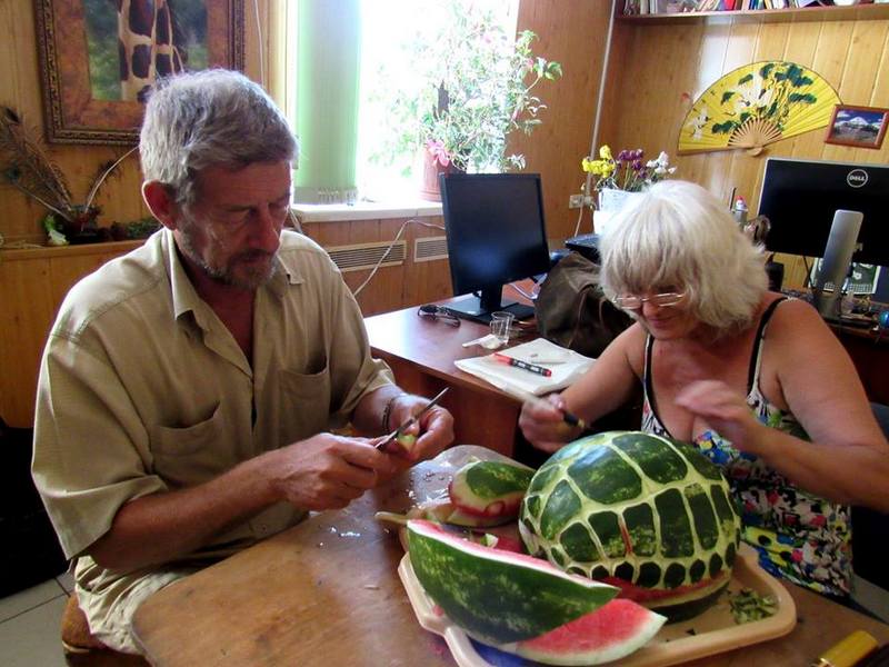 Черепахи из арбузов? А почему бы и нет? В Николаевском зоопарке оригинально отпраздновали юбилей черепах 2