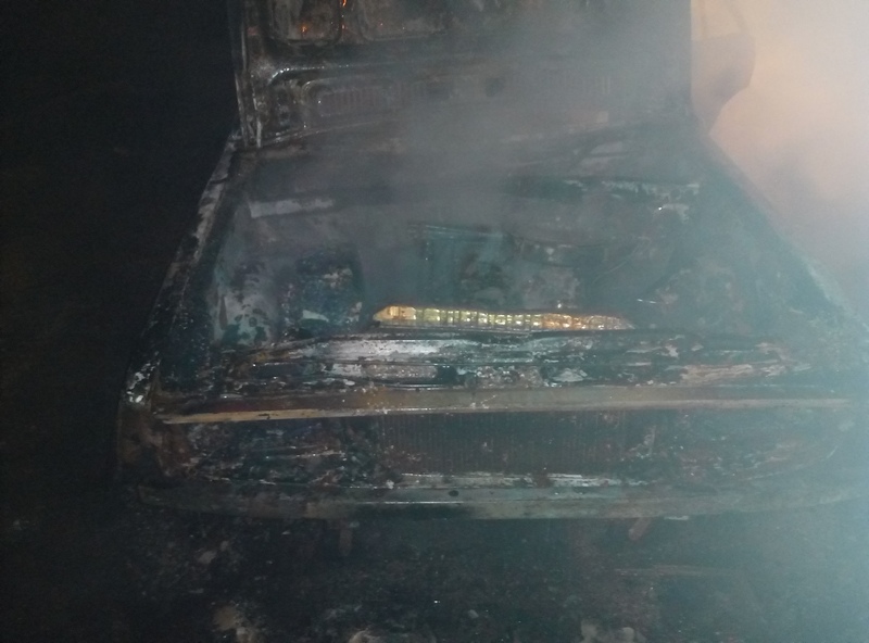 В Веселиновском районе загорелся автомобиль – «коротнула» электропроводка 1