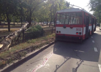 В Николаеве пенсионера сбил троллейбус. Насмерть