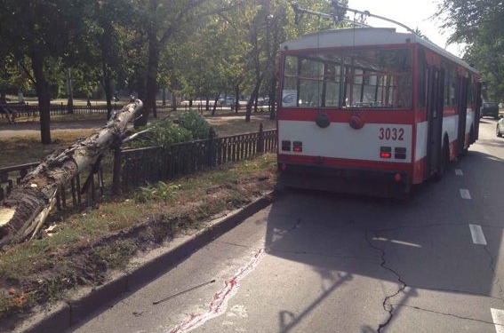 В Николаеве пенсионера сбил троллейбус. Насмерть