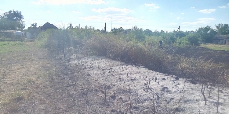 В Николаевской области горит сухая трава – за сутки огонь «прошел» 16 га