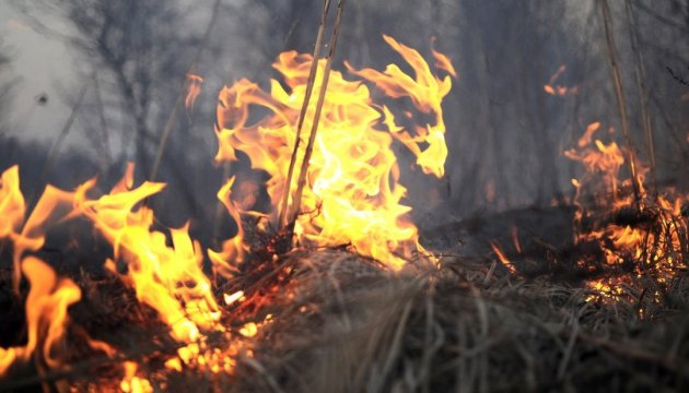В Канаде бушуют лесные пожары – объявлено ЧП, 7 тысяч человек покинули свои дома 1