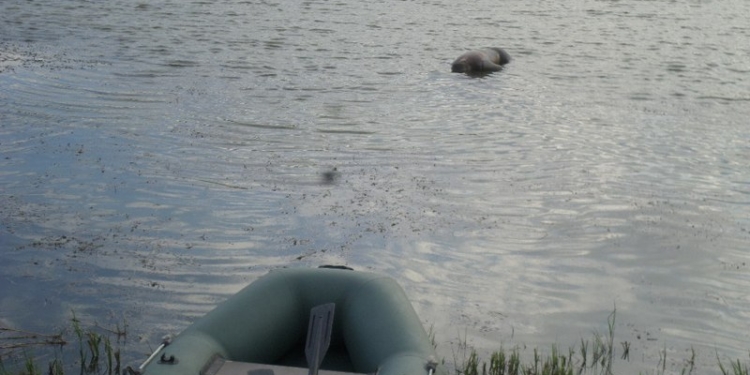 Очередная жертва воды на Николаевщине: тело утонувшего на Ингульце в середине прошлой недели нашли