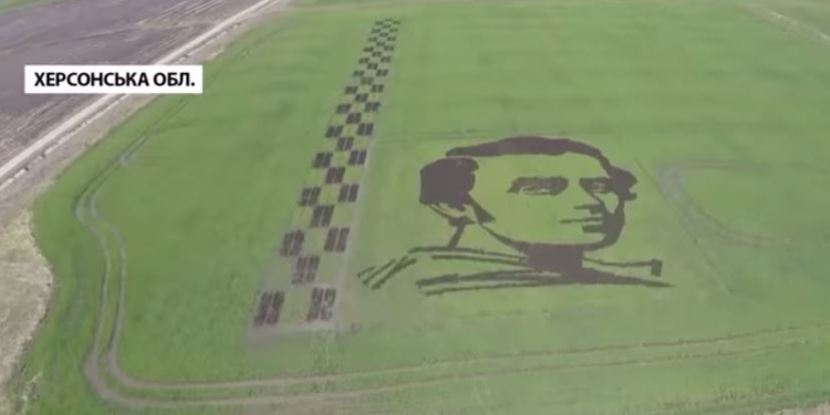 В Херсонской области вырастили громадный портрет Шевченко на рисовом поле