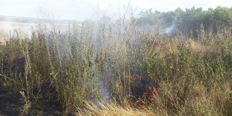 Вчера в Николаеве пожарные тушили 8 пожаров на открытых территориях