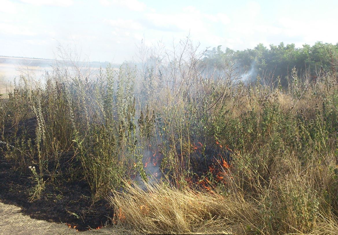 Вчера в Николаеве пожарные тушили 8 пожаров на открытых территориях