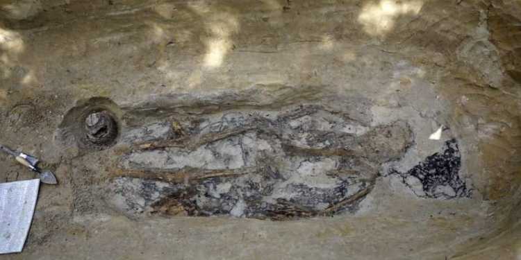 В Арктике ученые нашли нашли захоронение в бересте