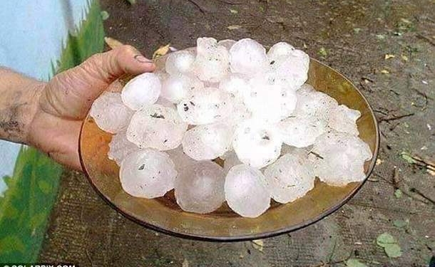 В Испании огромный град убил овец