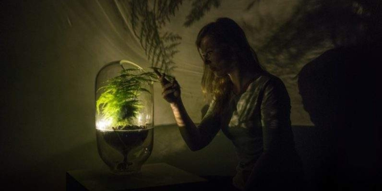 Релакс. Живой свет – живая лампа. Жаль, не у нас