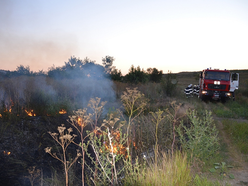 С начала года на территории Николаевской области произошло 720 пожаров на открытых территориях 3