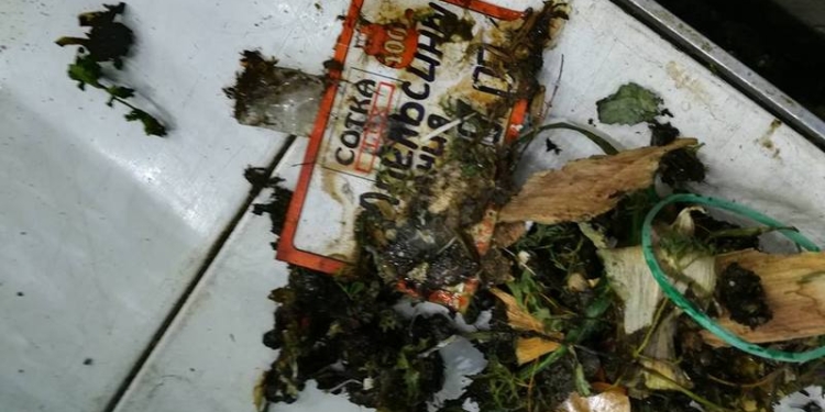 В Николаеве владелец супермаркета «Сотка» напал на проверяющих