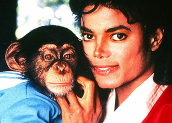 Картины шимпанзе Майкла Джексона продали на аукционе за 3,7 тысячи долларов