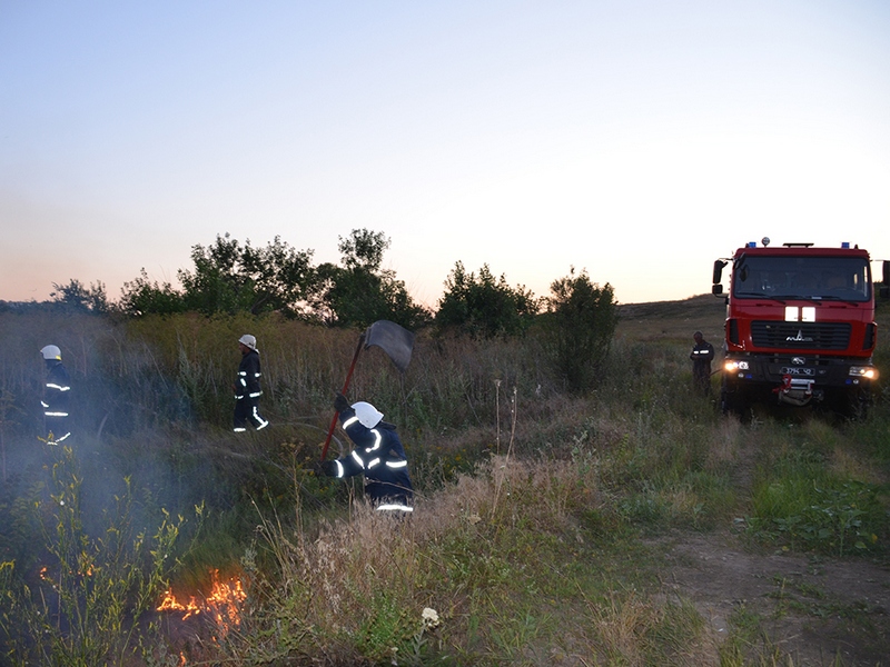 С начала года на территории Николаевской области произошло 720 пожаров на открытых территориях 5