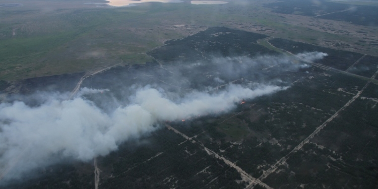 Горят грибные места: у Чулаковки на Херсонщине тушат лес