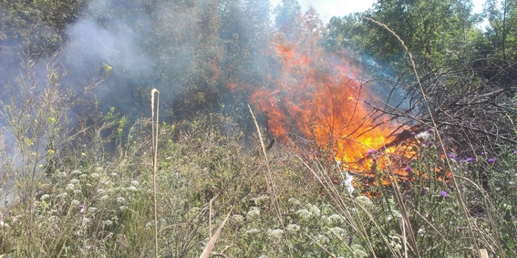 В Большой Коренихе вчера тушили сухую траву на площади в почти 5 га. И это не единственный пожар на Николаевщине в экосистеме