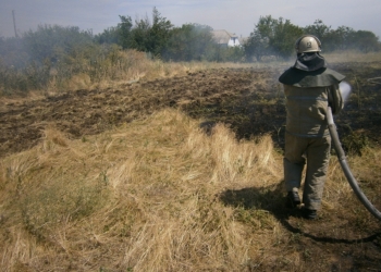На Николаевщине огонь с сухой травы перекинулся на поле пшеницы – пожар “съел” 4 га