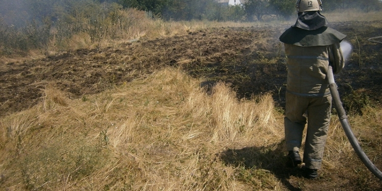 На Николаевщине огонь с сухой травы перекинулся на поле пшеницы – пожар “съел” 4 га