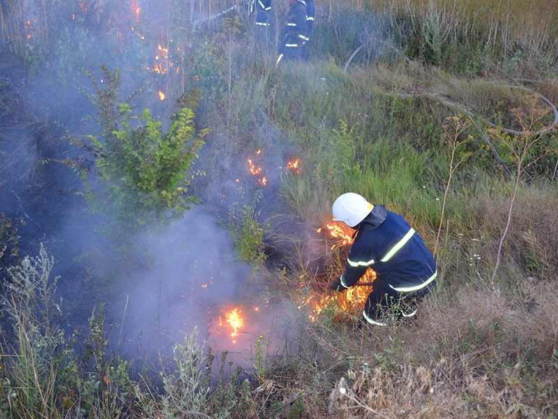 С начала года на территории Николаевской области произошло 720 пожаров на открытых территориях 7